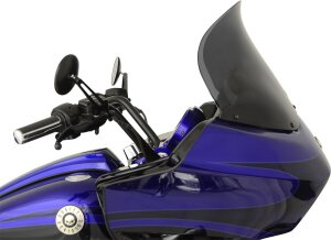 Windshield Flre14fltr Ds