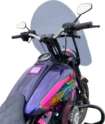 Windshield B-brd 17.5 Ds