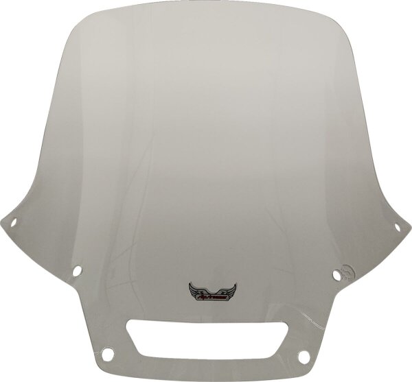 Windshield Fxlrst Clr +6
