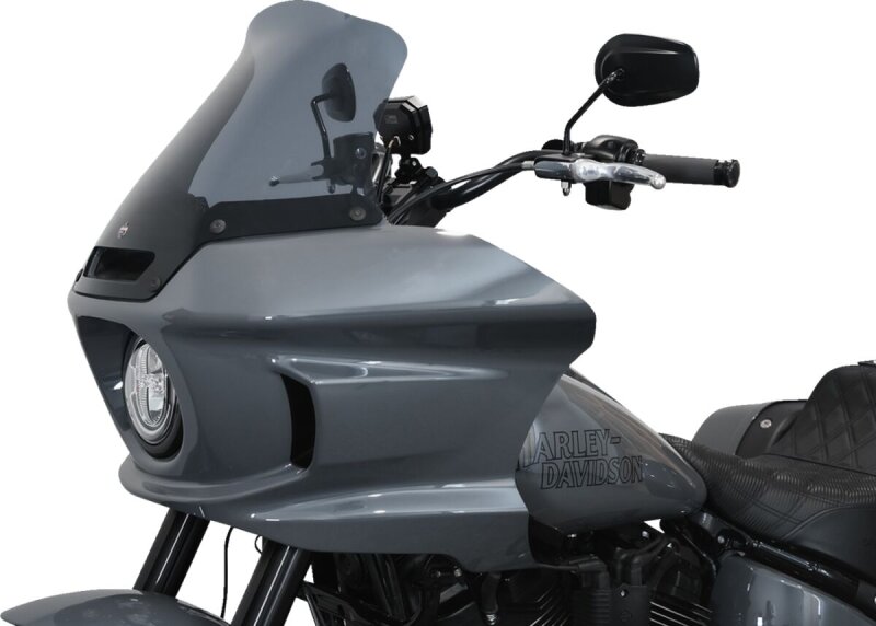Windshield Fxlrst 10 Ds