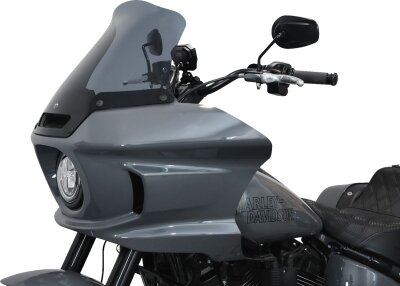 Windshield Fxlrst 10 Ds