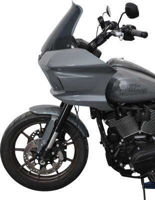 Windshield Fxlrst 10 Ds