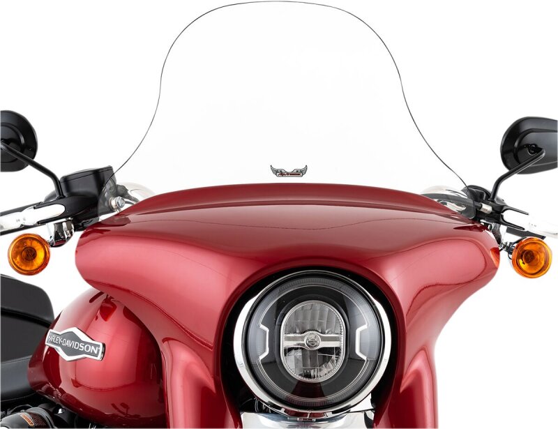 Windshield Flsb 10 Clr