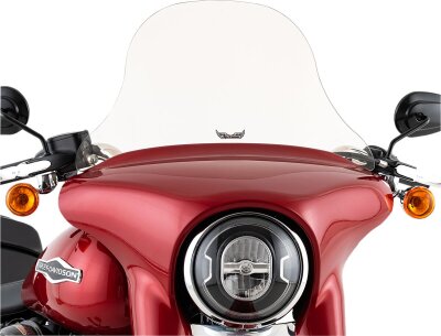 Windshield Flsb 10 Tnt