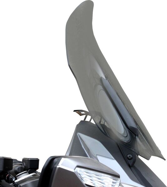 Windshield Flr Gl1800 Tnt