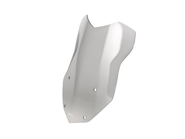 Wscrn Inter R1250gs Smoke