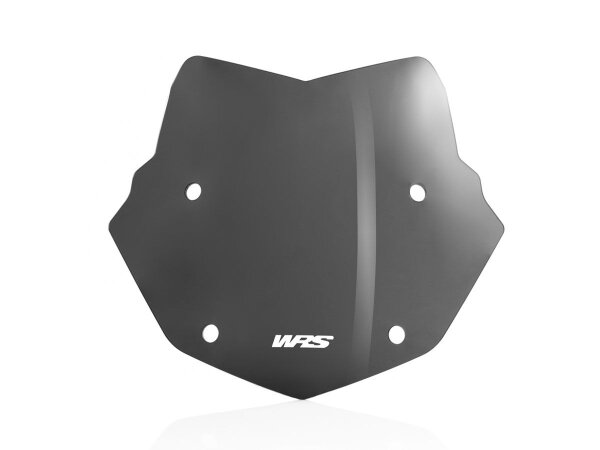 Wscrn Enduro R1250gs Dsmk