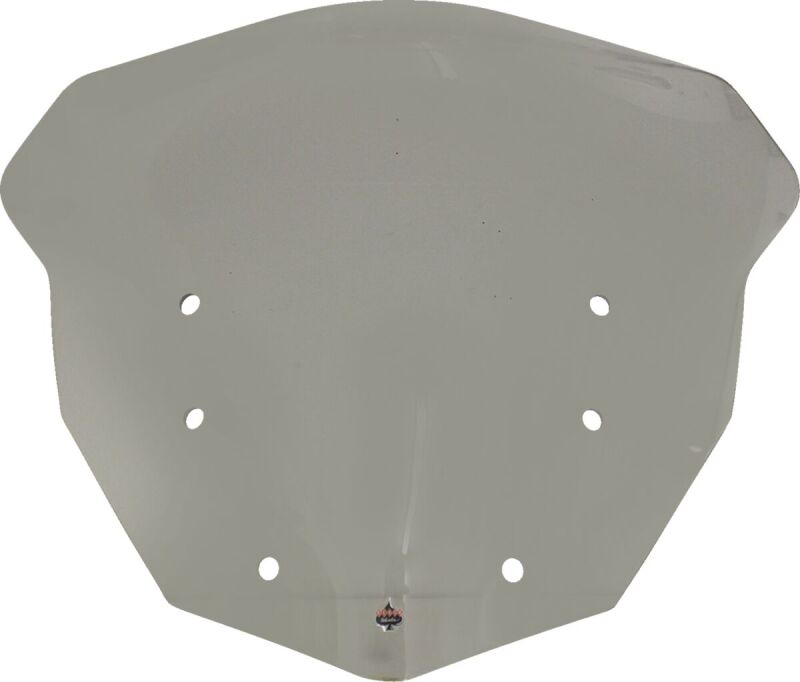 Windshield Flr Bmw1600 Tn
