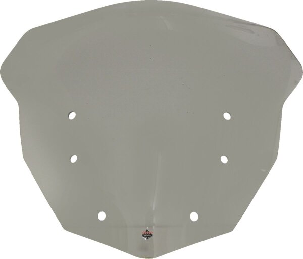 Windshield Flr Bmw1600 Tn
