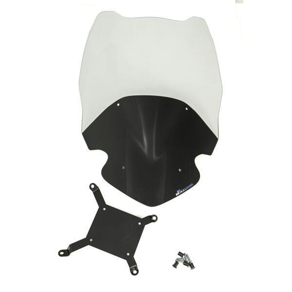 Wndscrn Sport Bmw Ce04 Clear