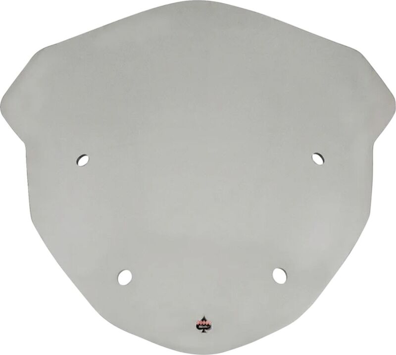 Windshield Flare Bmw R1250rt T