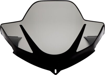 Windshield 14.5 Tint Arc