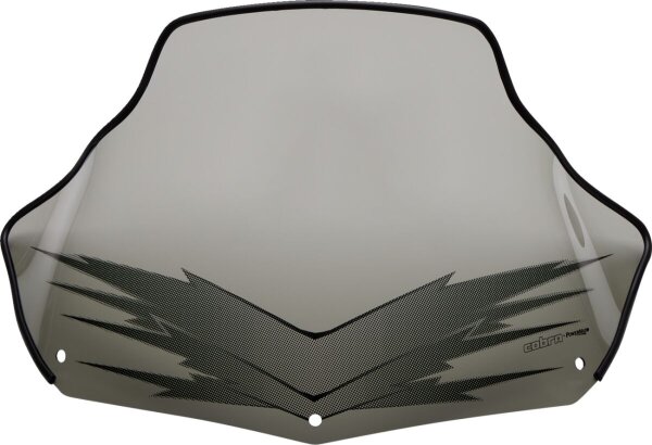 Windshield 11 Tint Ski