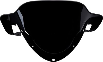Windshield 11.5 Low Pol
