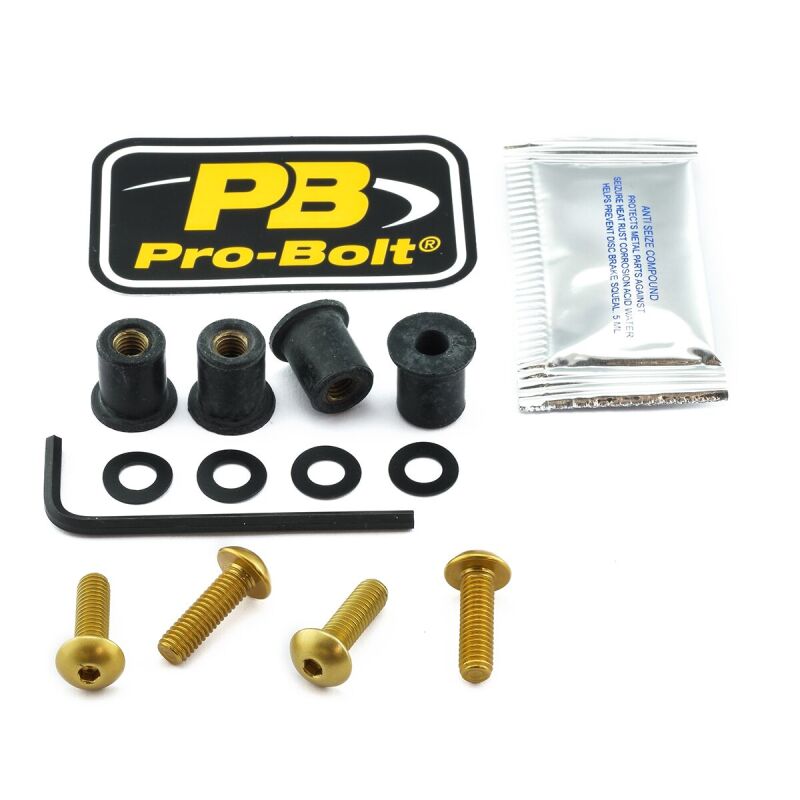 Bolt Kit Screen Gold