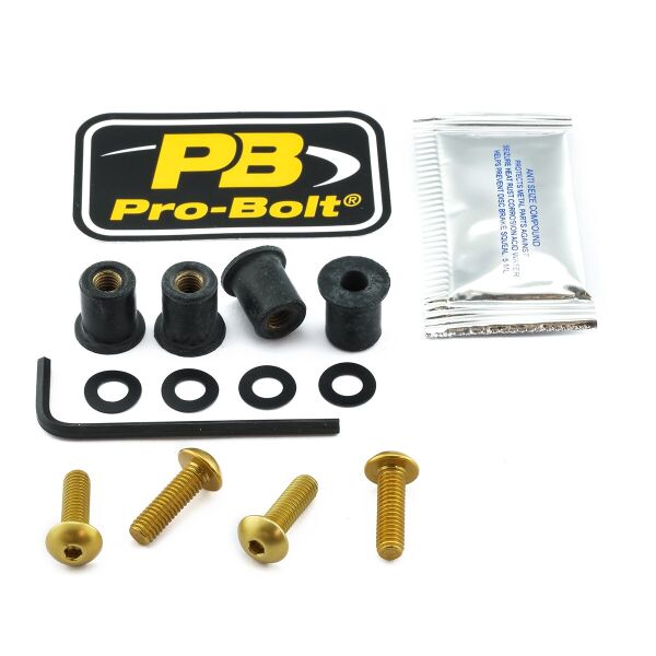 Bolt Kit Screen Gold