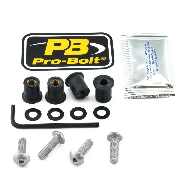 Bolt Kit Screen Silver