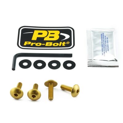 Bolt Kit Screen Gold