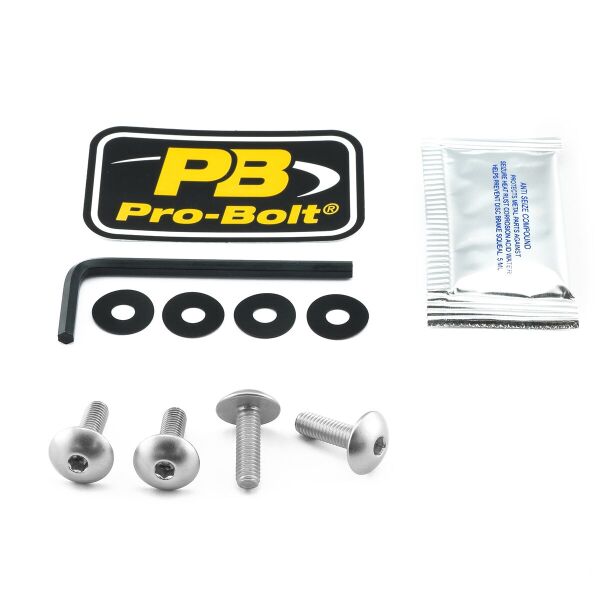Bolt Kit Screen Silver
