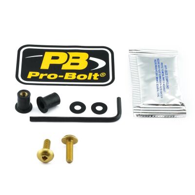 Bolt Kit Screen Gold