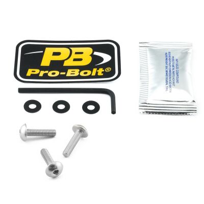 Bolt Kit Screen Silver