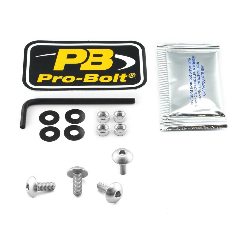 Bolt Kit Screen Silver