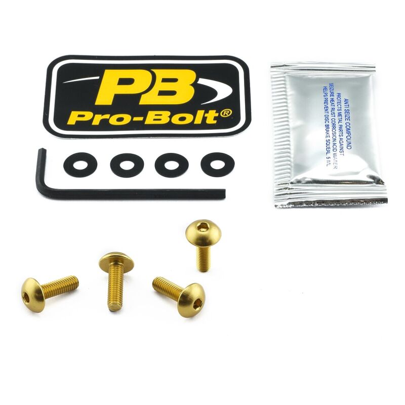Bolt Kit Screen Gold