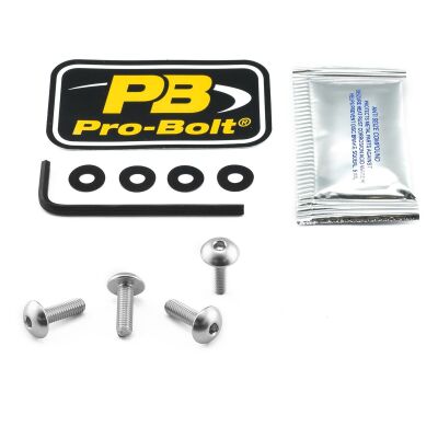 Bolt Kit Screen Silver
