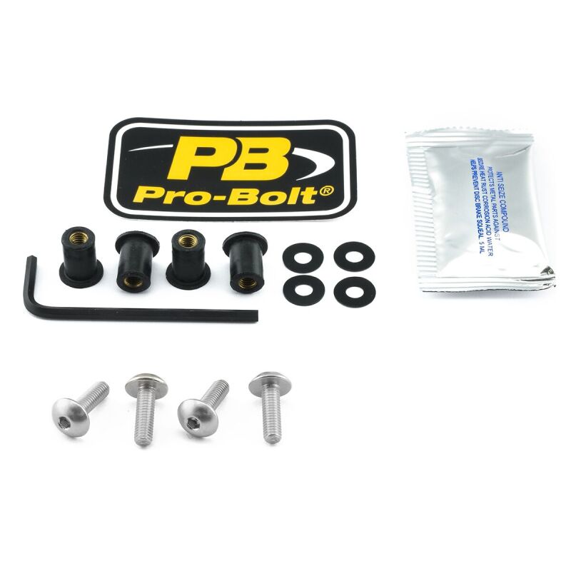 Bolt Kit Screen Silver