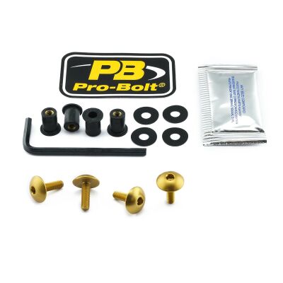 Bolt Kit Screen Gold