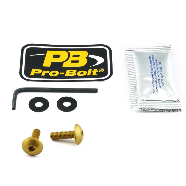 Bolt Kit Screen Gold