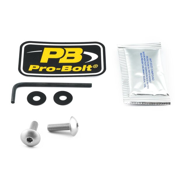 Bolt Kit Screen Silver