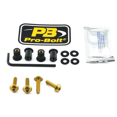 Bolt Kit Screen Gold