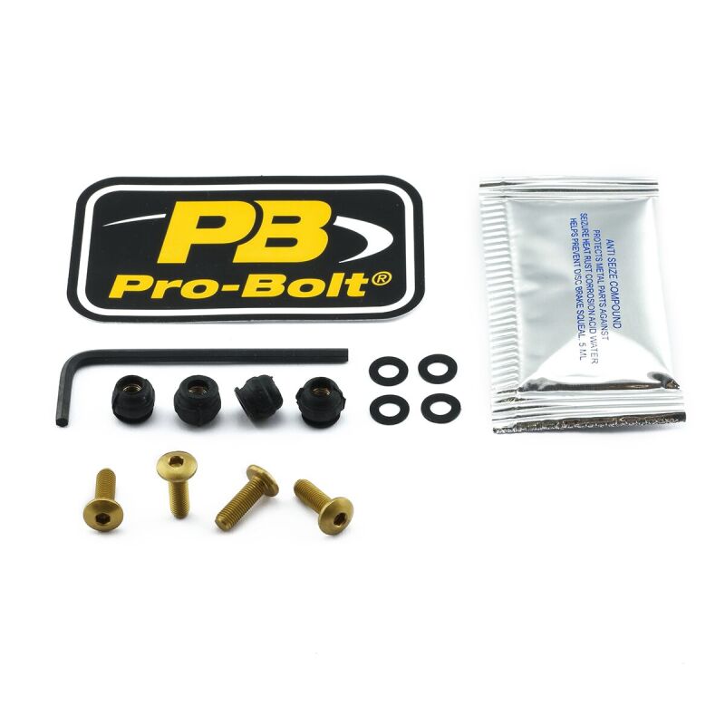 Bolt Kit Screen Gold