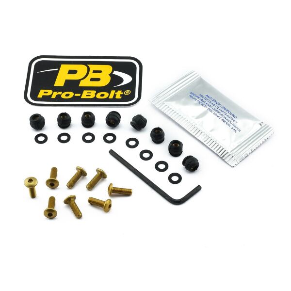 Bolt Kit Screen Gold