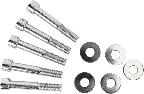 Bolts Pulley 00-06softail