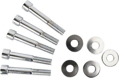 Bolts Pulley 00-06softail