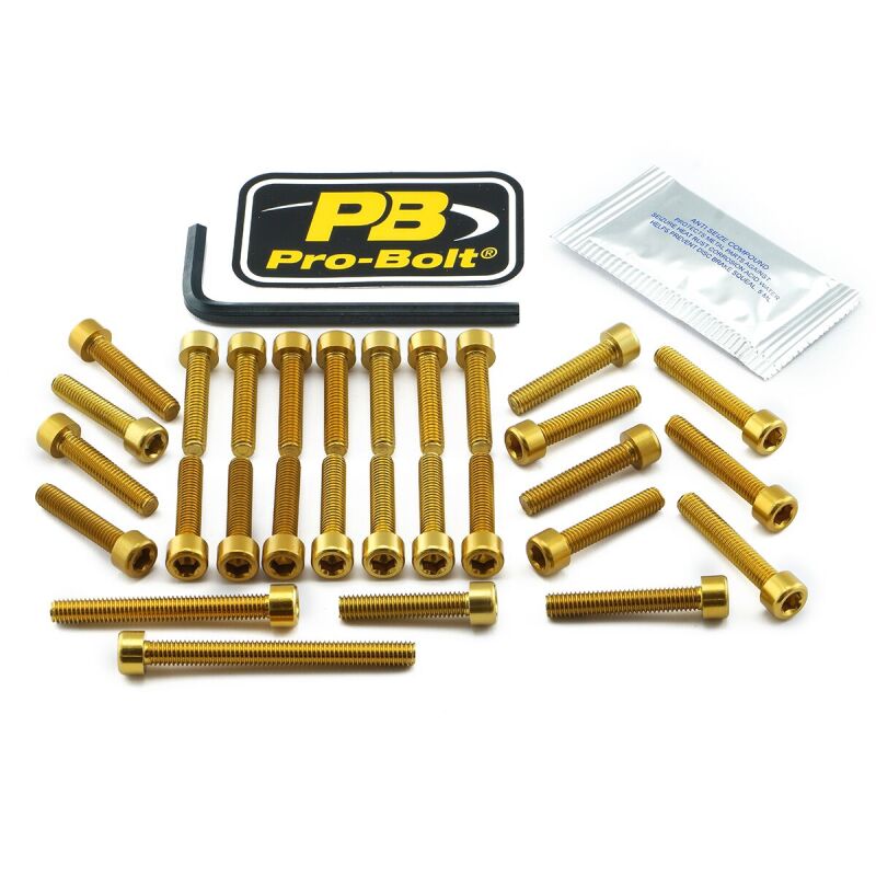 Bolt Kt Engine Kaw Gold