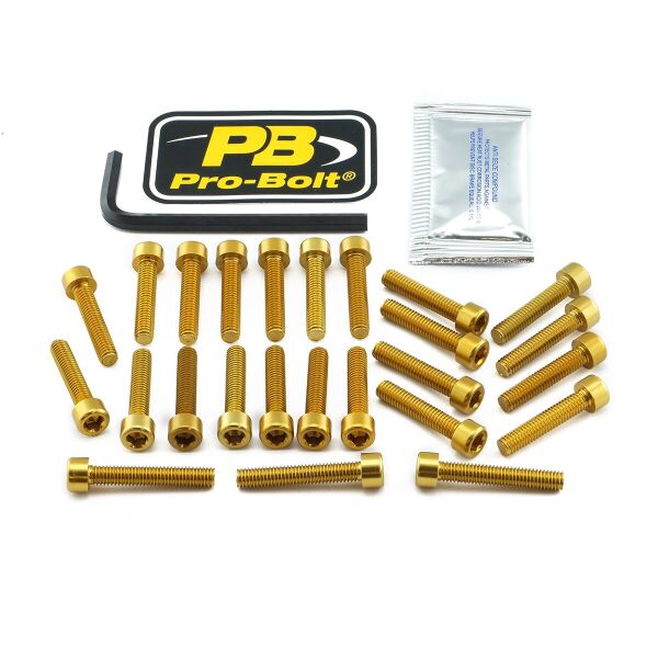 Bolt Kt Engine Kaw Gold