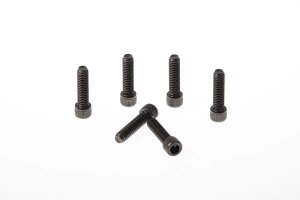 Fork Triple Clamp Screws