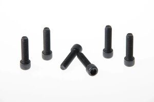 Fork Triple Clamp Screws