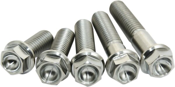 Titanium Bolt M8x40 Pack Of 2