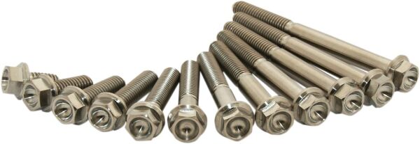 Titanium Bolt M6x35 Pack Of 2