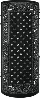 Motley Tube Black Paisley