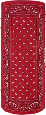 Motley Tube Red Paisley