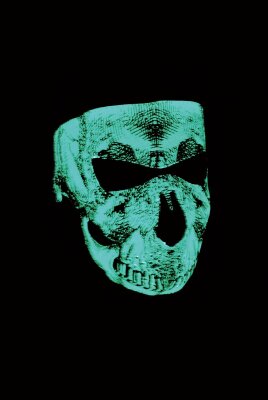 Face Mask Skull Face Glow