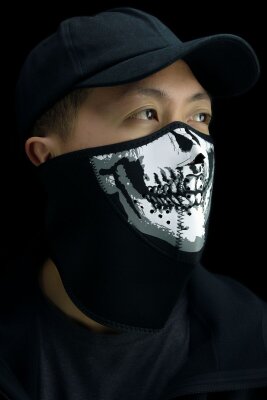 Half Mask 3 Panel Skull