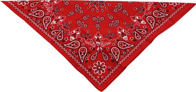 Bandana Cotton Red Paisly