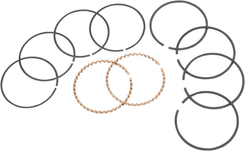 +.020rings111/17/24moto