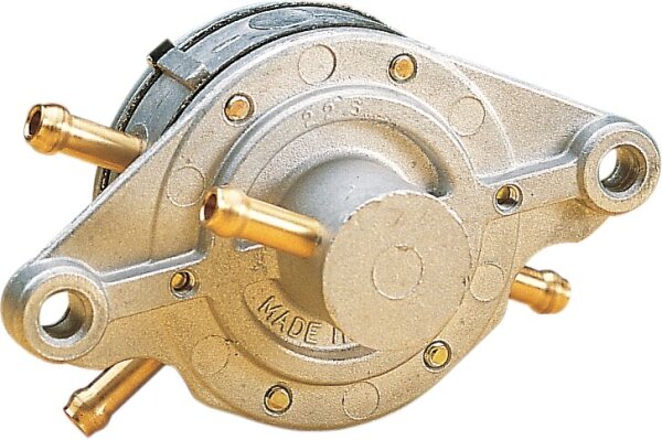 Fuel Pump-dual